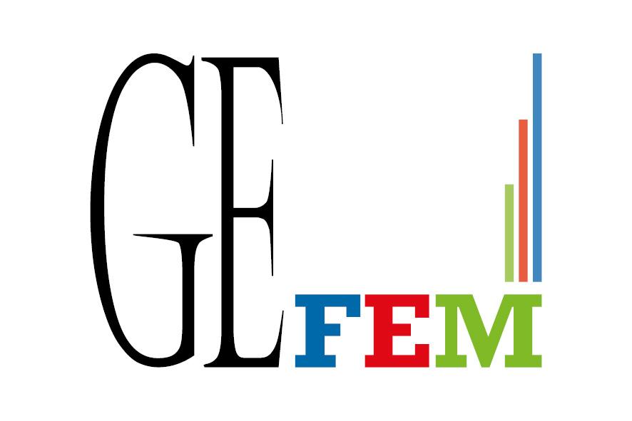 Logo del grupo GEFEM