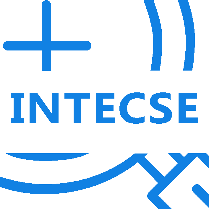 Logo del grupo INTECSE